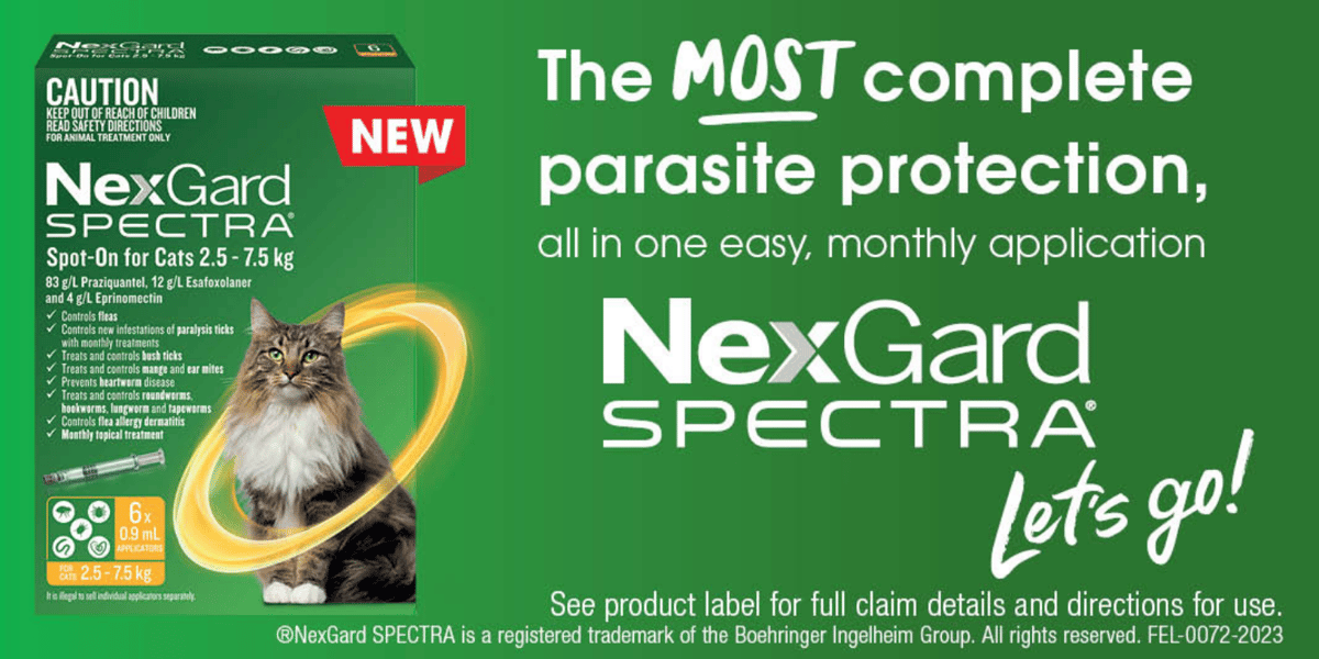 nexgard spectra for cats