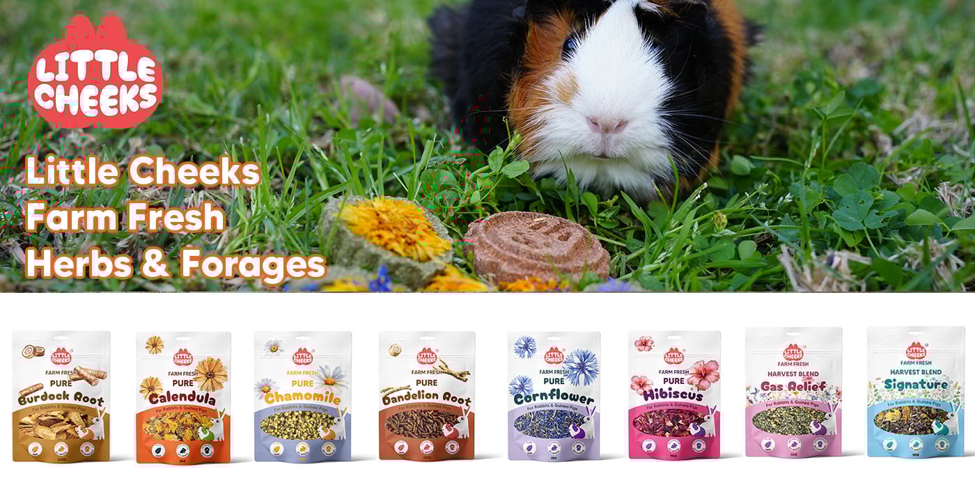 Little Cheeks Banner